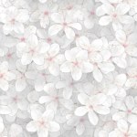 beautiful little cherry blossoms